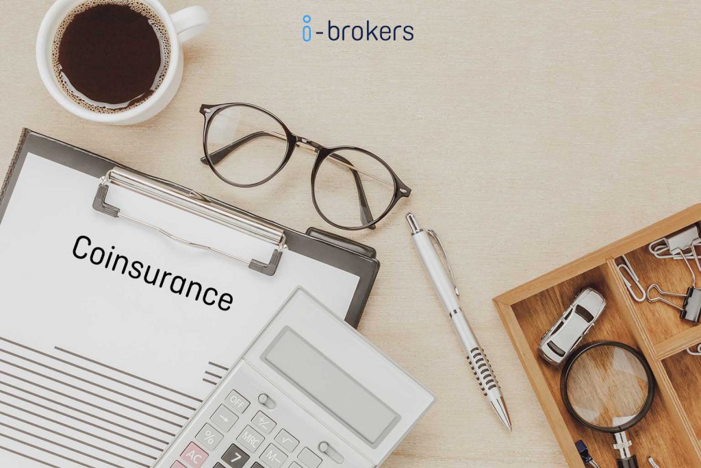 what does coinsurance mean